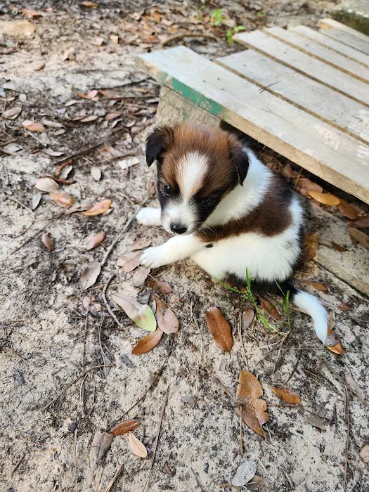 Sherwood Animal Clinic 3