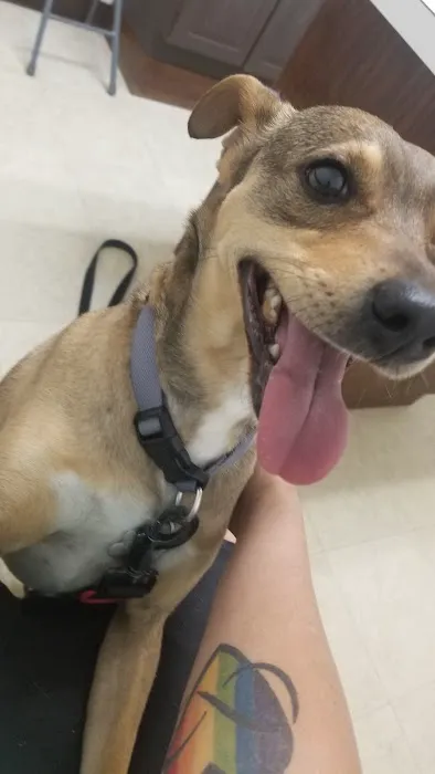 Sherwood Animal Clinic 5