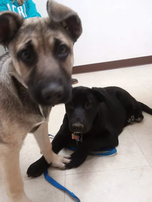 Sherwood Animal Clinic 1