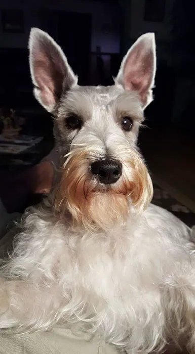 Texas City Animal Hospital 10