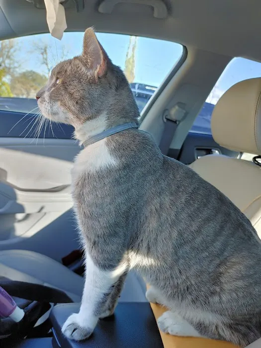 Texas City Animal Hospital 9