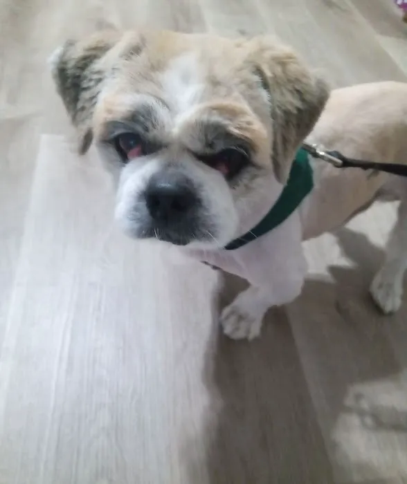 Willis Emergency Animal Clinic 9
