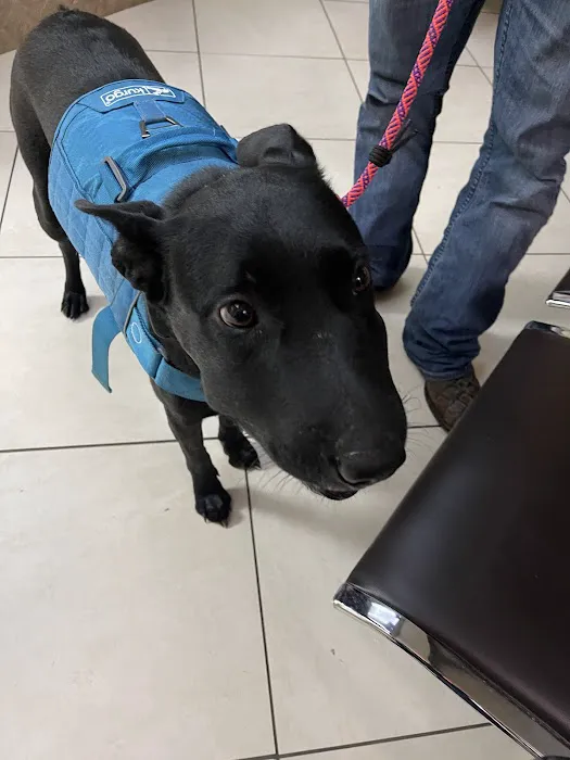 Willis Emergency Animal Clinic 3