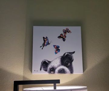 Willis Emergency Animal Clinic