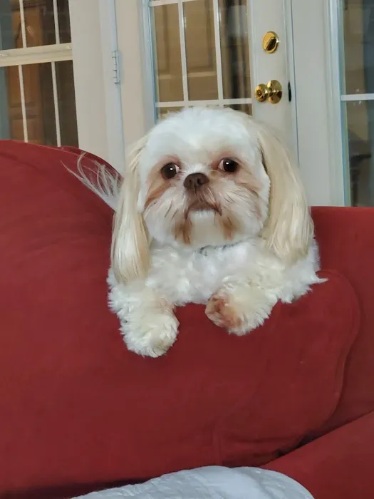 Willis Animal Hospital 8