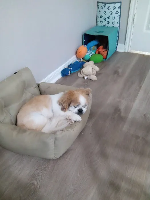 Willis Animal Hospital 5