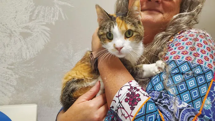 Spring Hill Animal Hospital 2