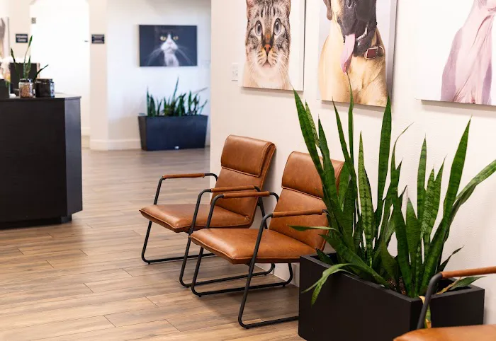 Spring Hill Animal Hospital 7
