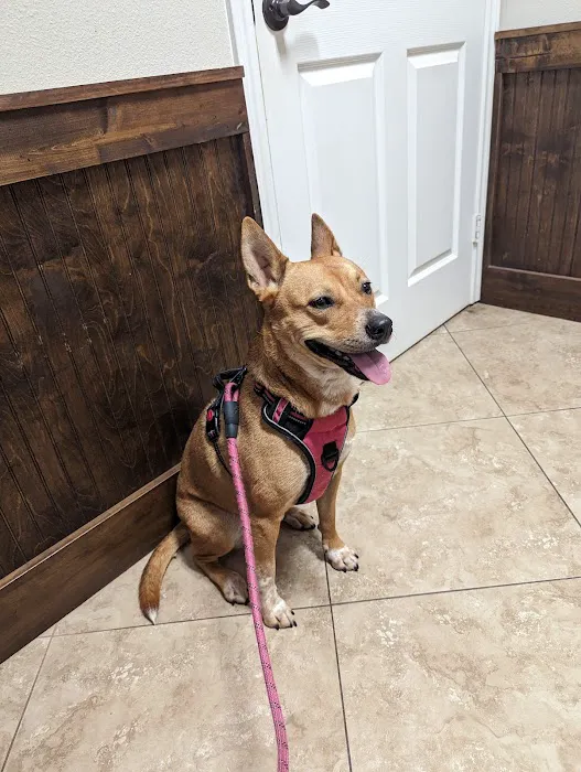 Shady Brook Animal Hospital 12