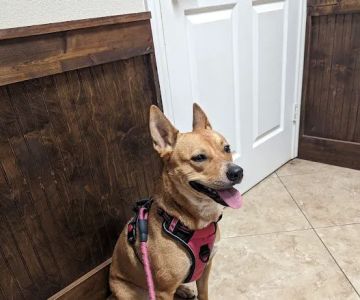 Shady Brook Animal Hospital