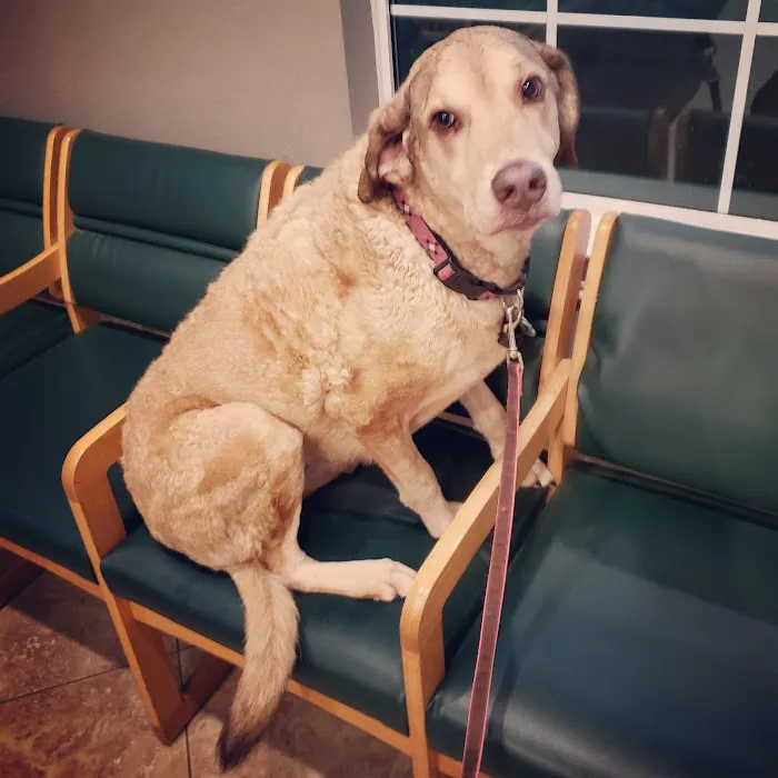 Shady Brook Animal Hospital 12