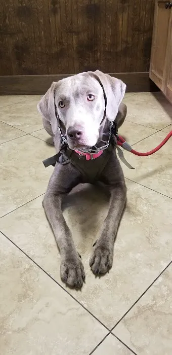 Shady Brook Animal Hospital 12