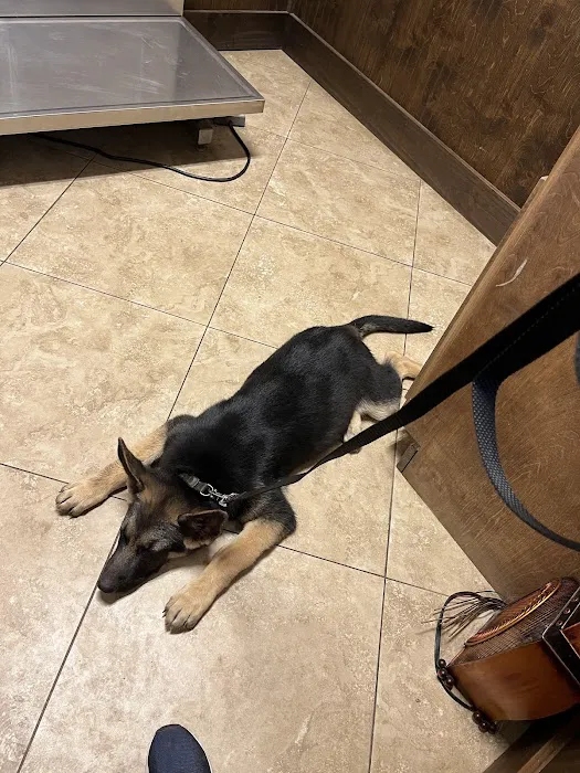 Shady Brook Animal Hospital 12