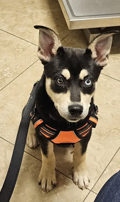Shady Brook Animal Hospital 12