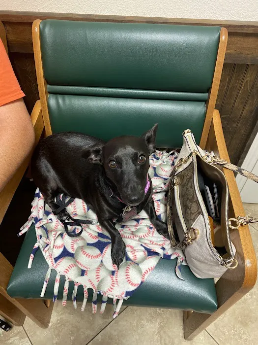 Shady Brook Animal Hospital 12
