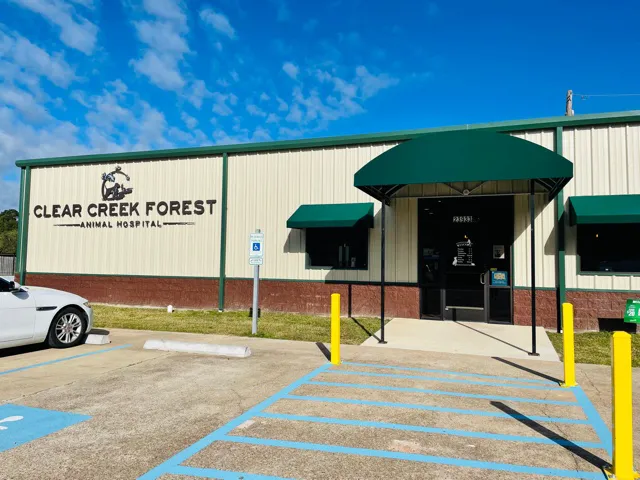 Clear Creek Forest Animal Hospital 12