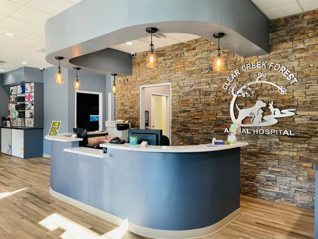 Clear Creek Forest Animal Hospital 12