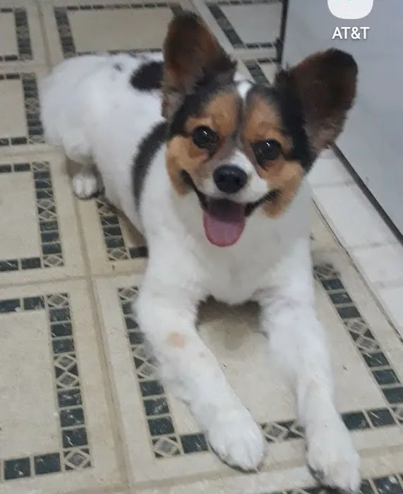 Banfield Pet Hospital 3