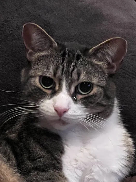 Lindenhurst Veterinary Hospital 7