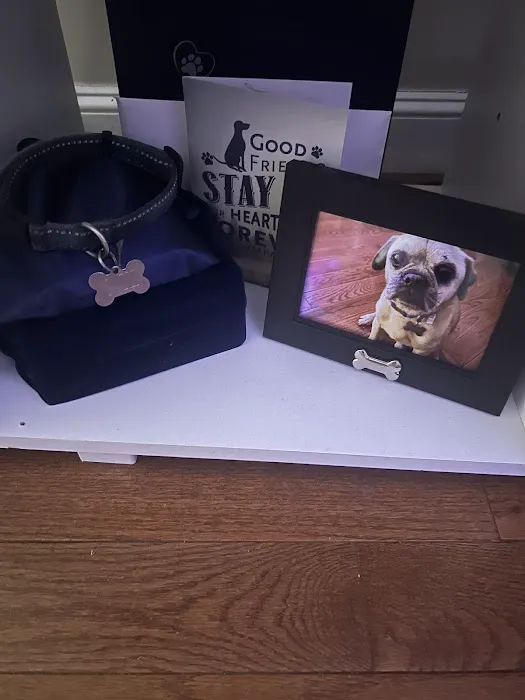 All Pets Animal Hospital 8