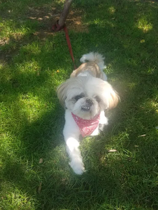 Amityville Animal Hospital 1