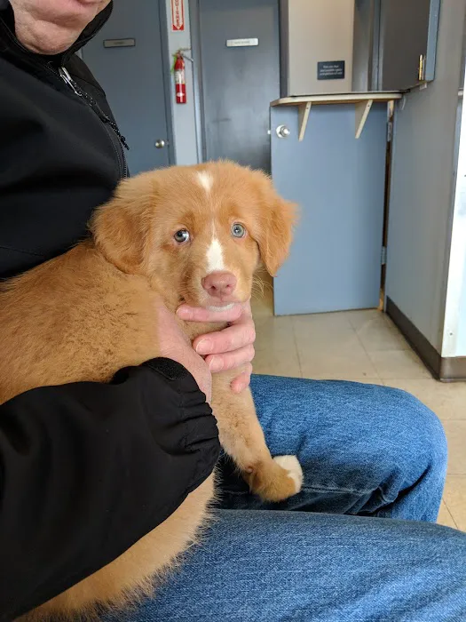 Amityville Animal Hospital 5