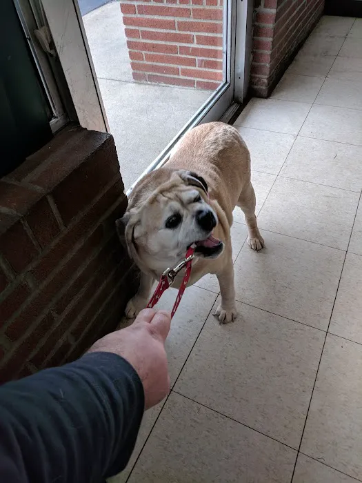 Amityville Animal Hospital 10