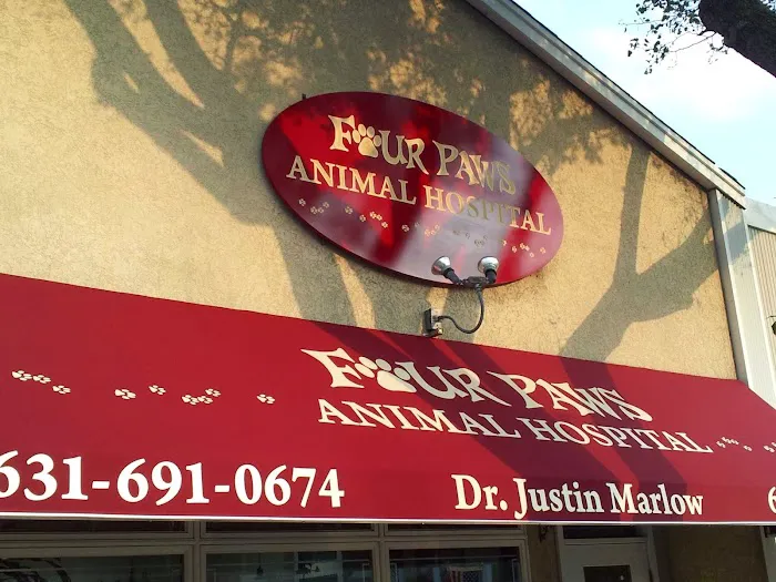 Four Paws Animal Hospital 4