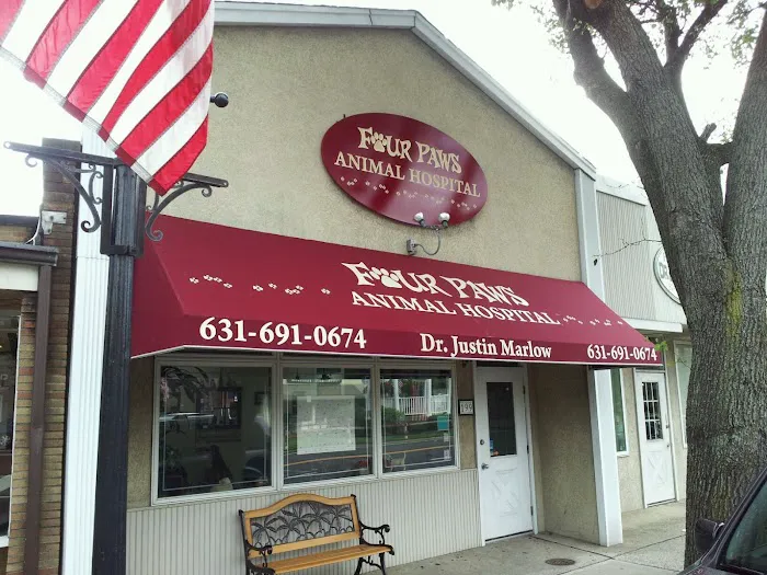 Four Paws Animal Hospital 6
