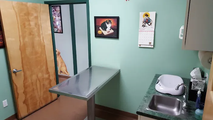 Four Paws Animal Hospital 5