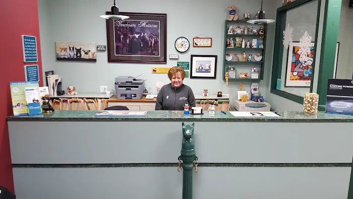 Four Paws Animal Hospital 2