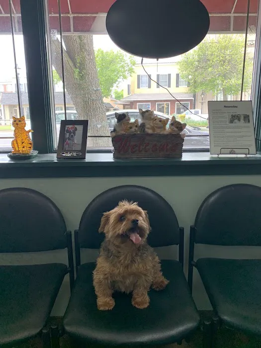 Four Paws Animal Hospital 3