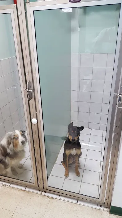Four Paws Animal Hospital 7