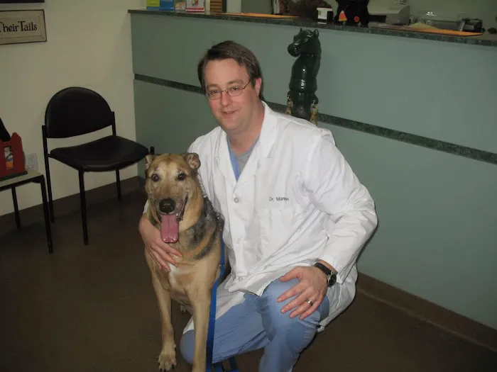 Four Paws Animal Hospital 1