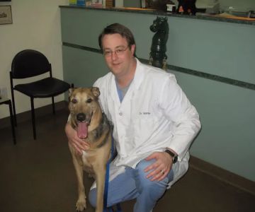 Four Paws Animal Hospital