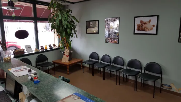 Four Paws Animal Hospital 9