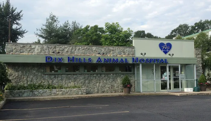 Dix Hills Animal Hospital 3