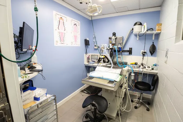 Dix Hills Animal Hospital 5