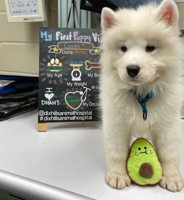 Dix Hills Animal Hospital 10