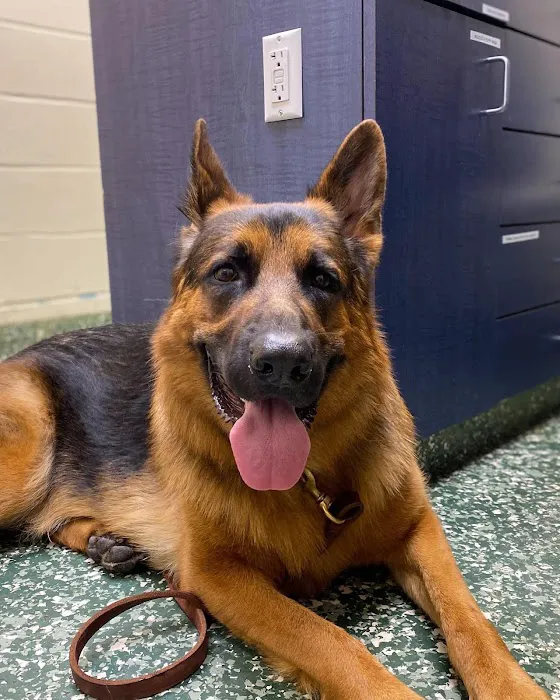 Dix Hills Animal Hospital 9