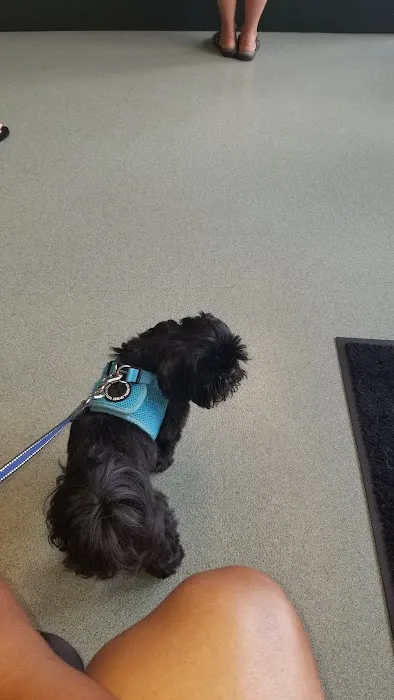 Greenlawn Animal Hospital 5