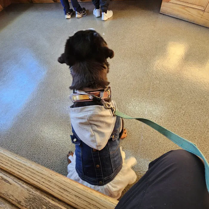 North Shore Veterinary Hospital 8