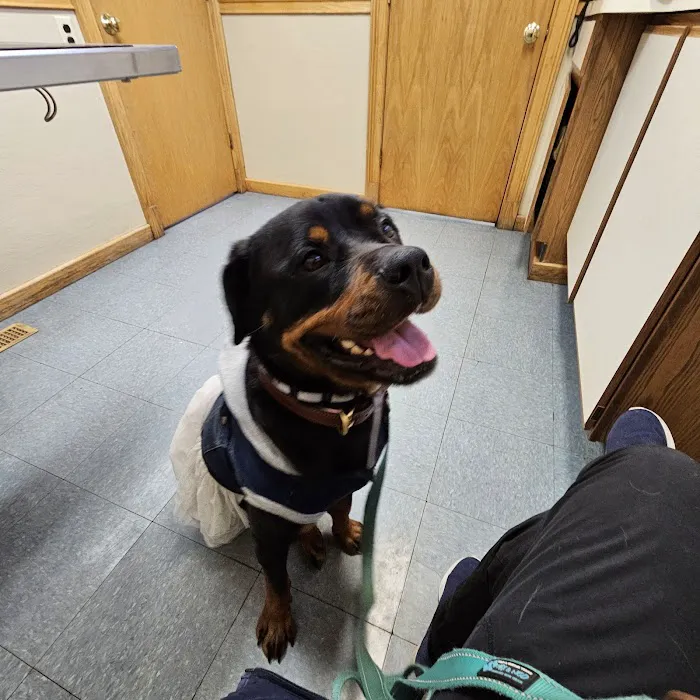 North Shore Veterinary Hospital 6