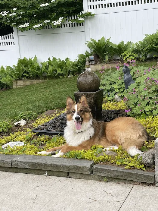 North Shore Veterinary Hospital 10