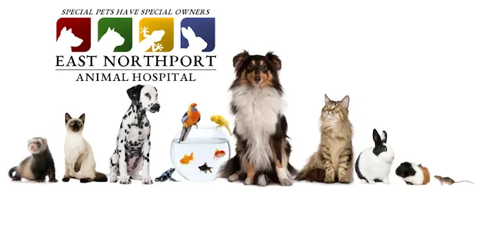 East Northport Animal Hospital 6