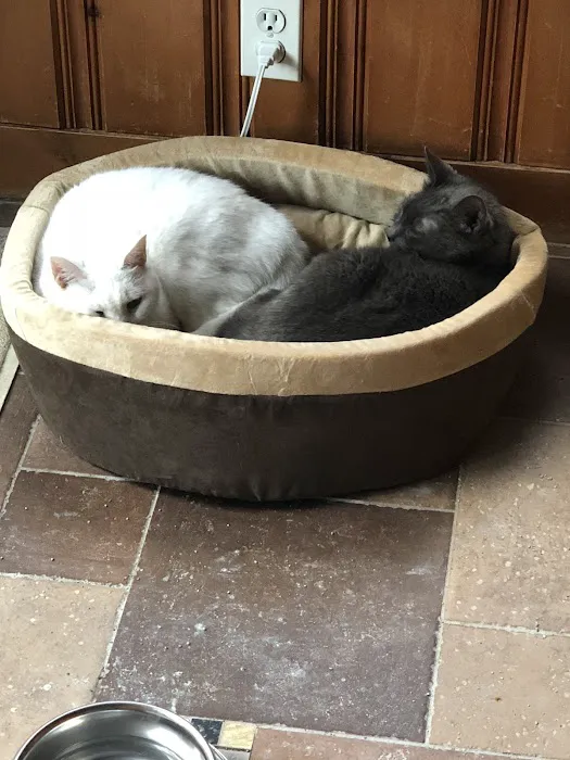 Park Animal Hospital 6
