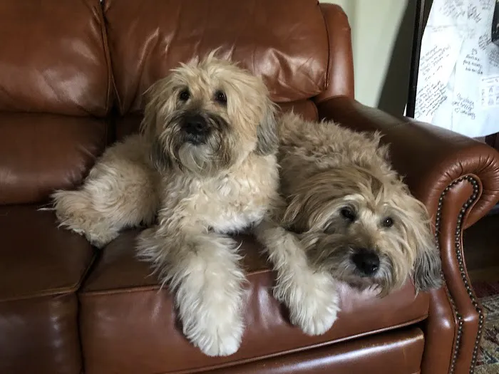 Park Animal Hospital 1