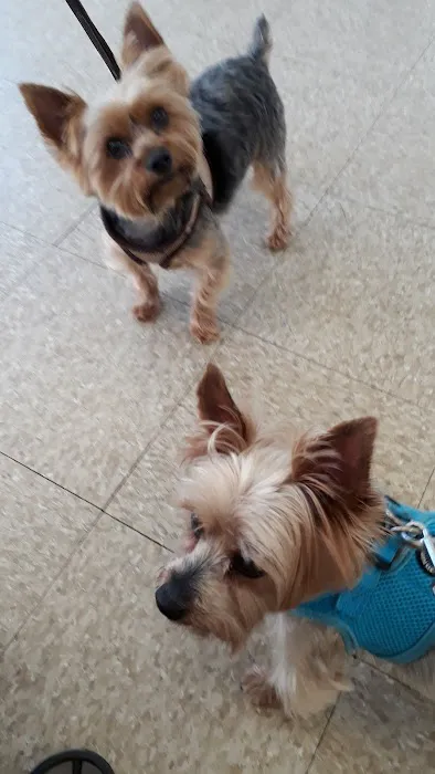 Park Animal Hospital 5