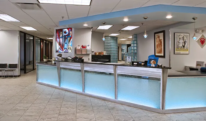 Massapequa Pet Vet 2