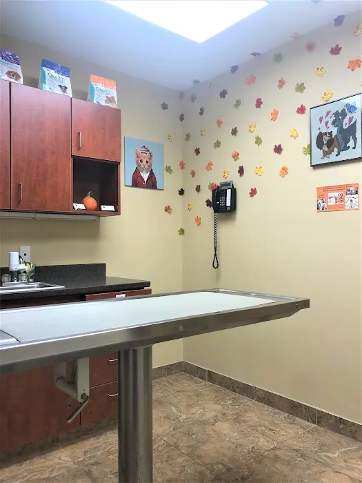 Greenwich Veterinary Center 12